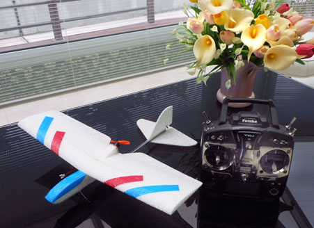 55g�� �}�C�N���Ղ��g���[�i�[